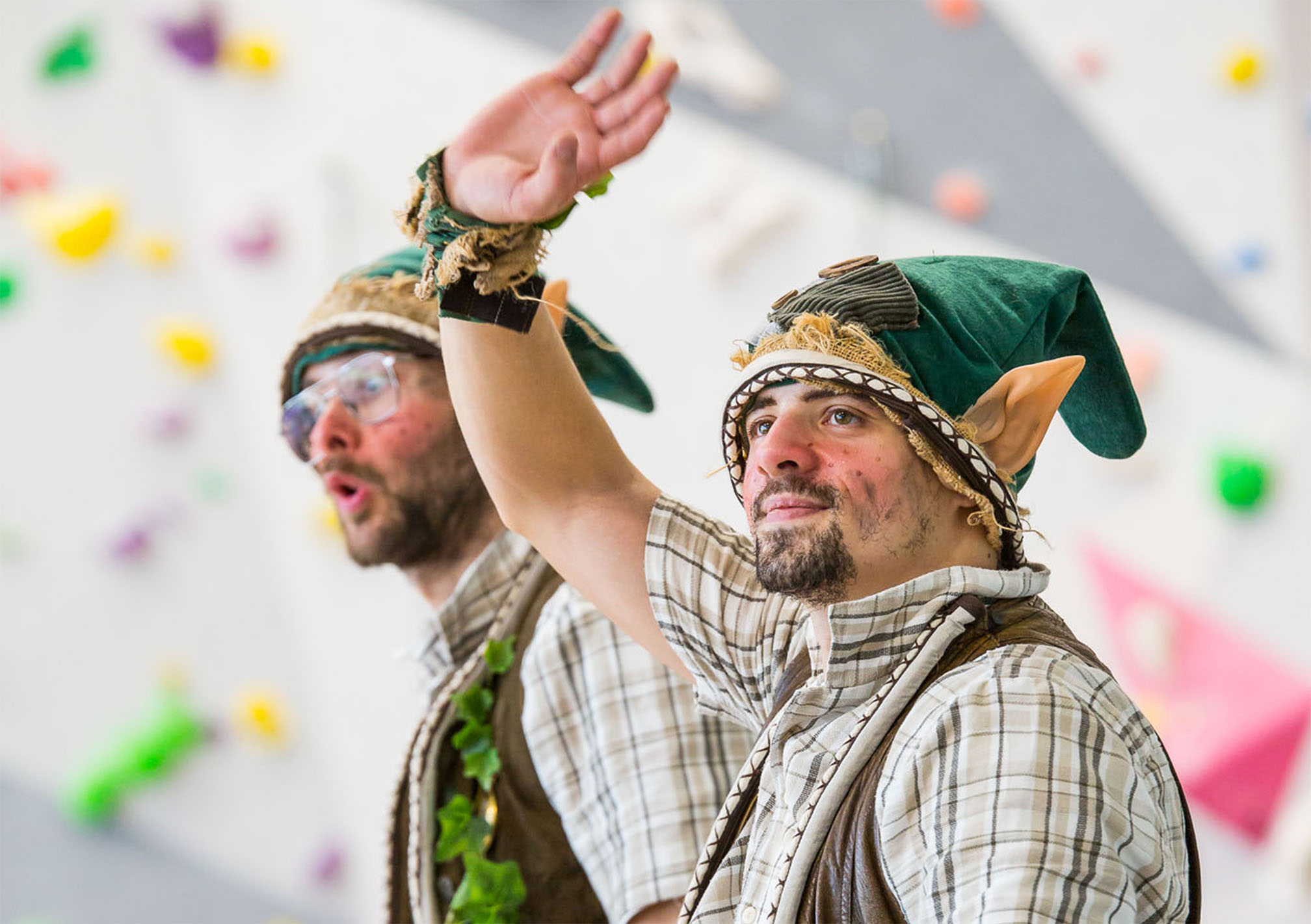 LES ELFES DE LA FORÊT