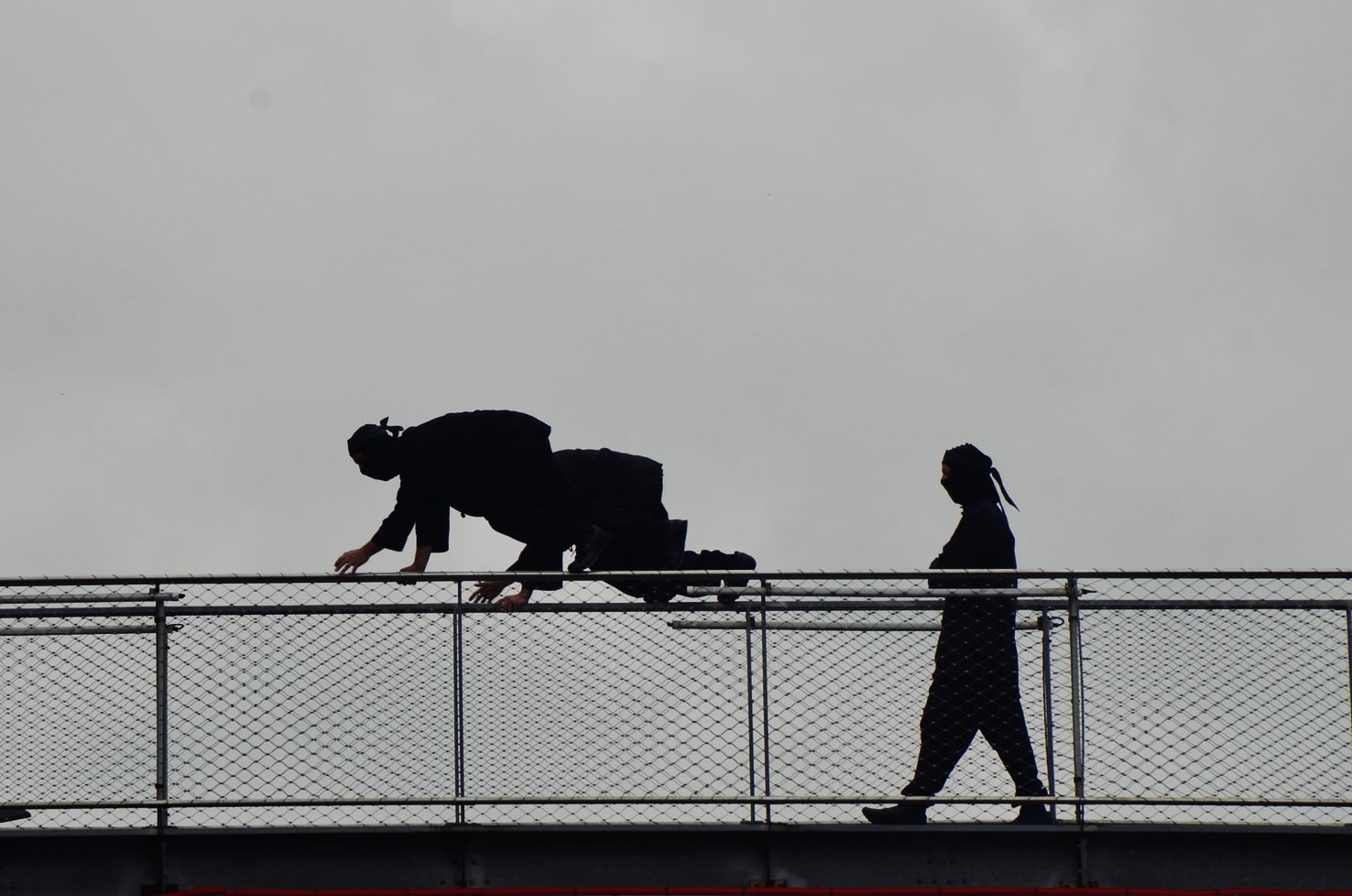 42536A1C AEAE 49FD B237 16F0FBC1AE17 min