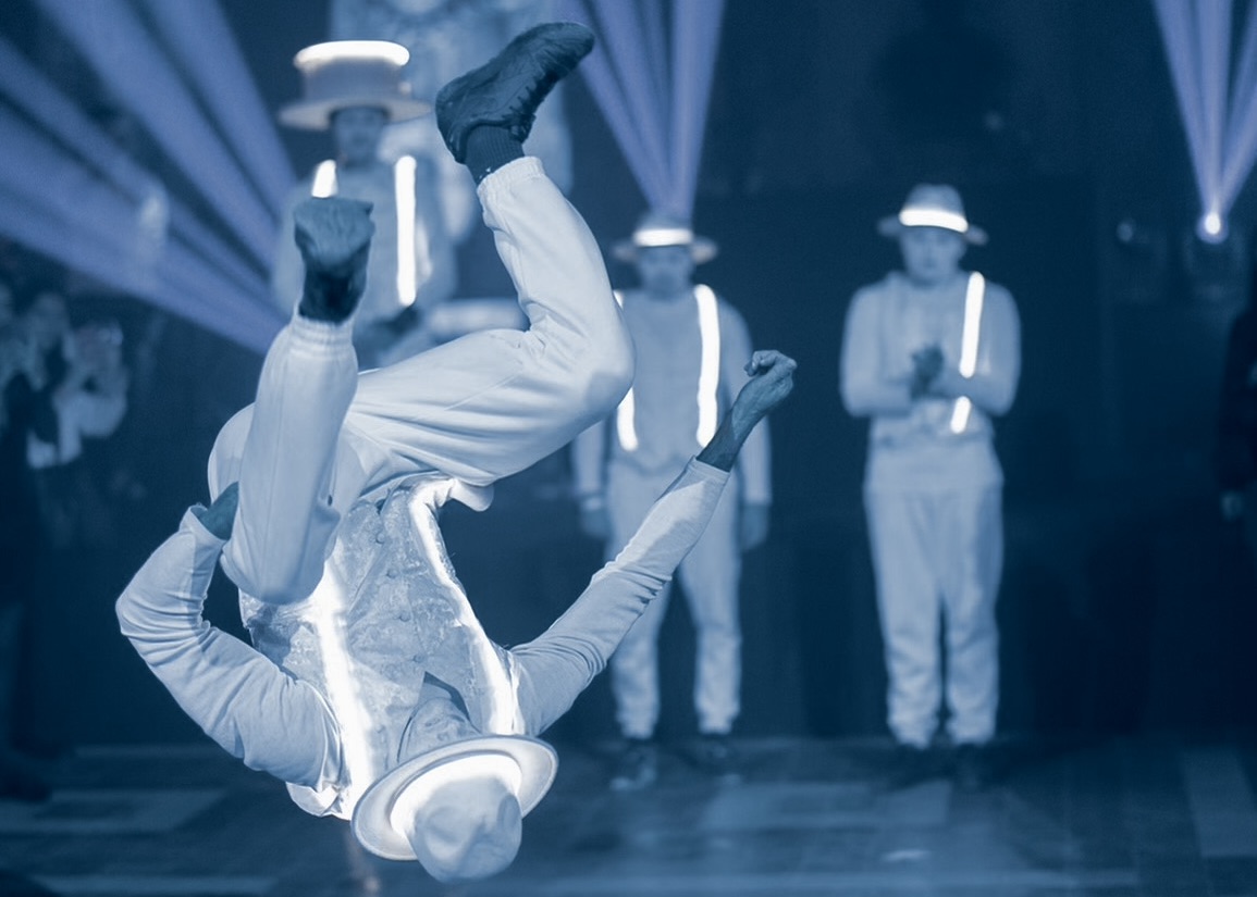 LES ACROBATIQUES TÊTES BLANCHES