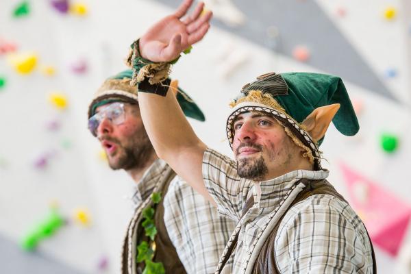 LES ELFES DE LA FORÊT